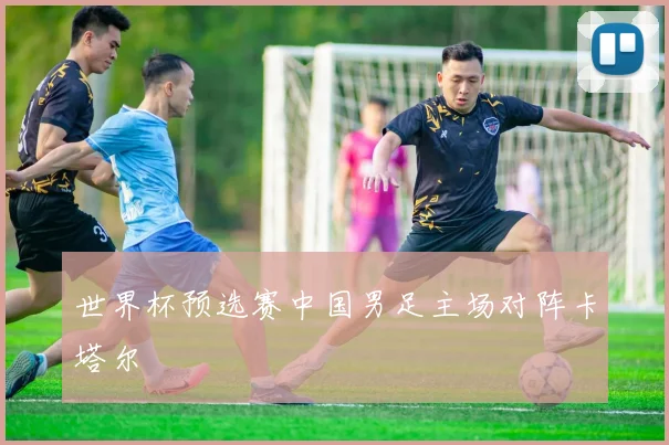 世界杯预选赛中国男足主场对阵卡塔尔