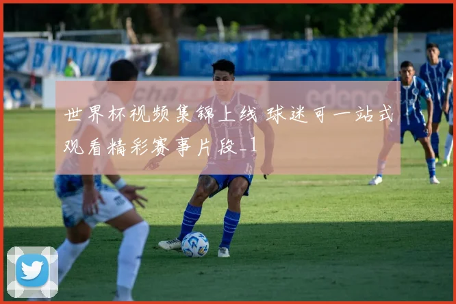 世界杯视频集锦上线 球迷可一站式观看精彩赛事片段_1